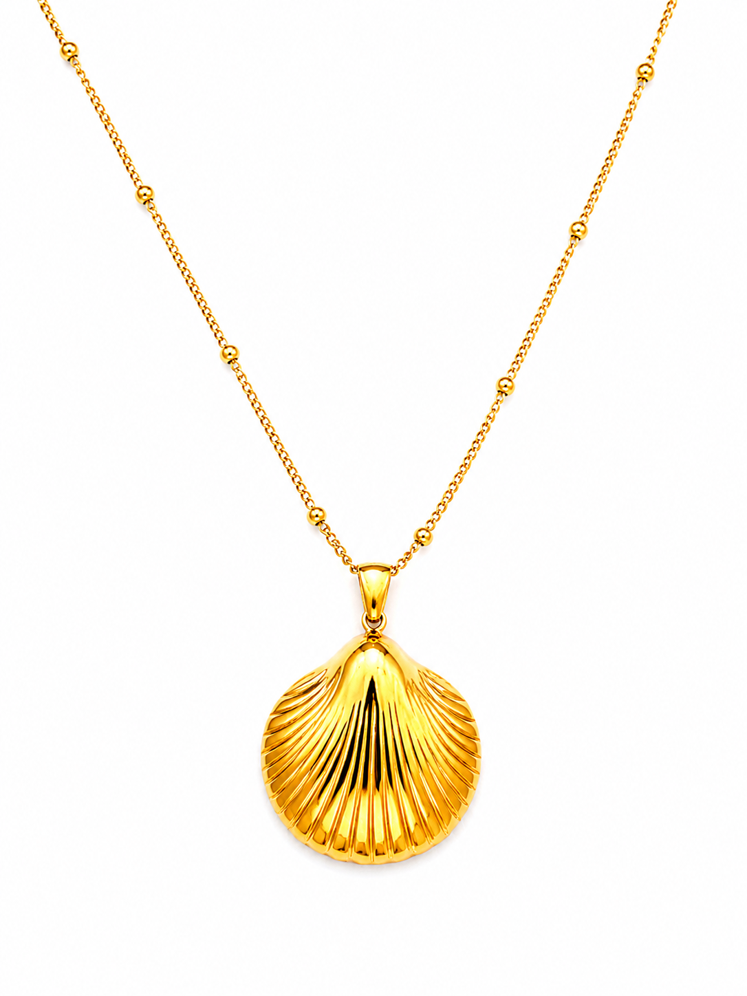 Golden Seashell Necklace