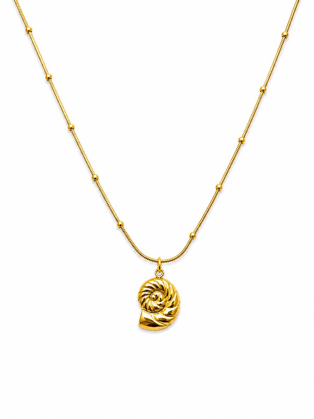 Little Seashell Necklace