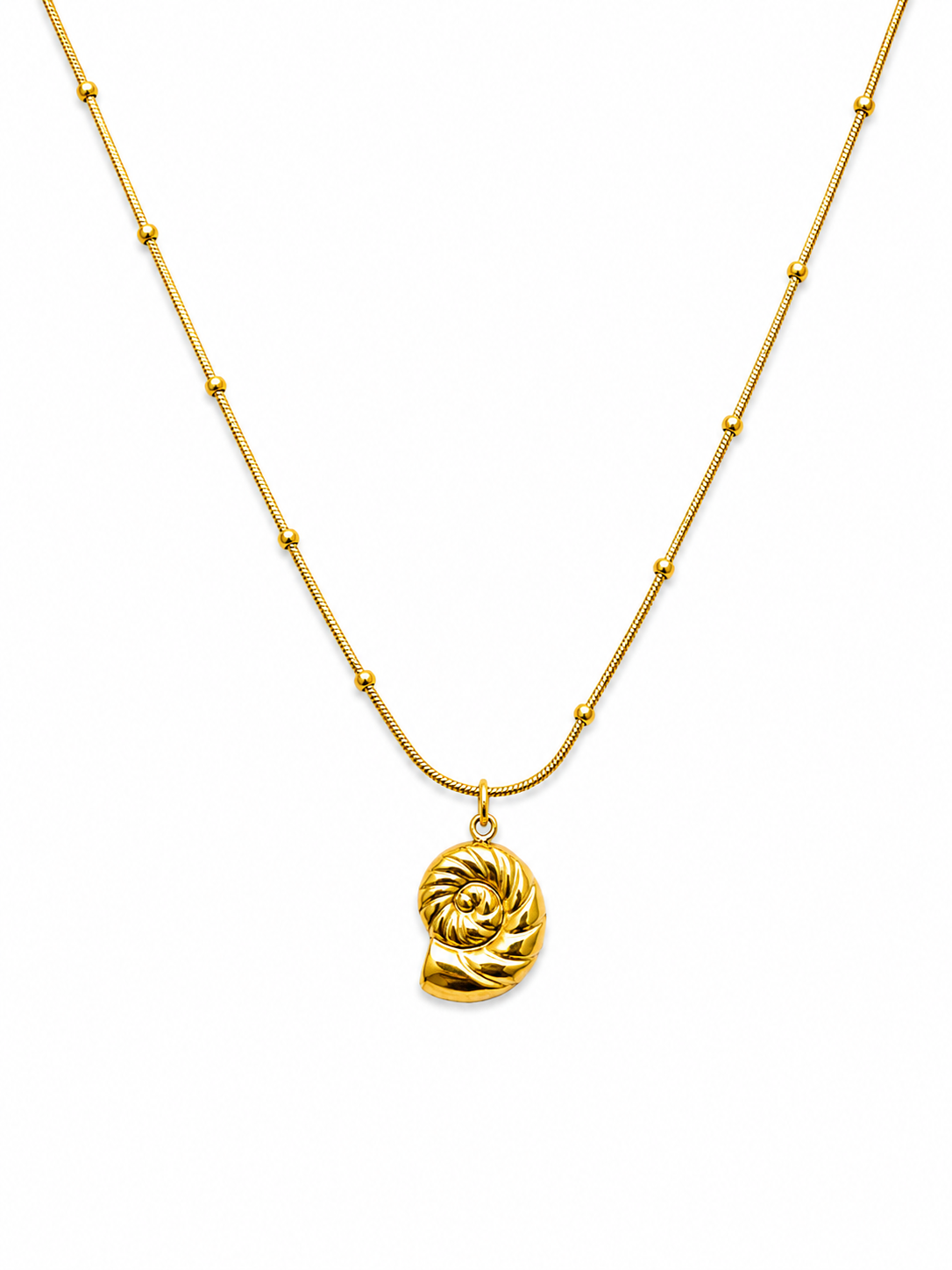 Little Seashell Necklace